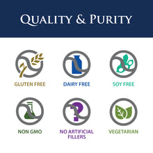 Load image into Gallery viewer, Critical Digestion